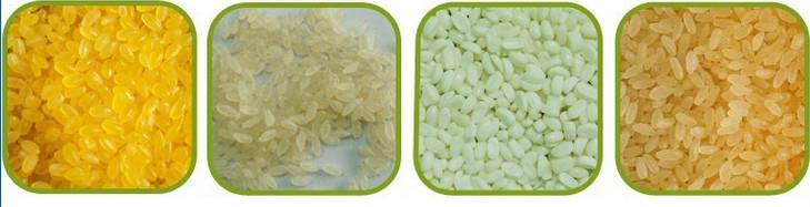 Nutrition rice making machine